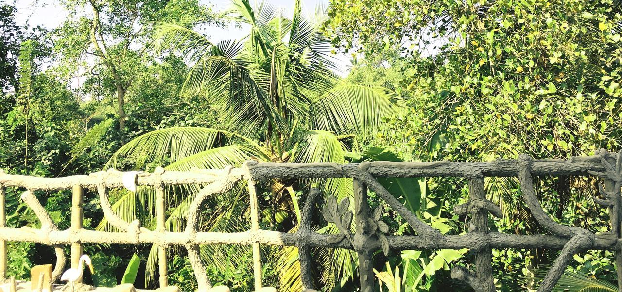 Galle Paradise Inn Eksteriør billede
